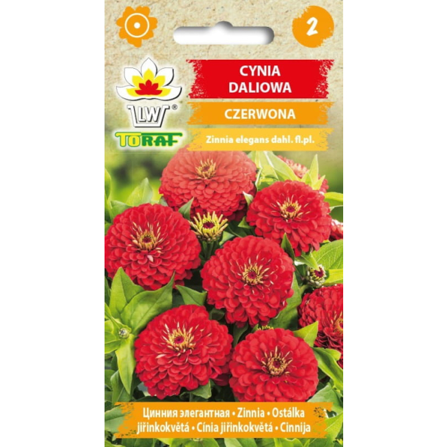 Cynia daliowa czerwona nasiona 1g - TORAF