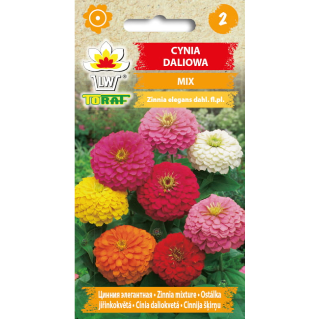 Cynia daliowa mix nasiona 1g - TORAF