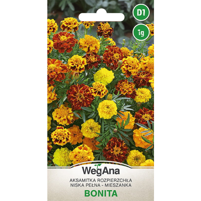Aksamitka rozpierzchła Bonita mieszanaka 1g - WegAna