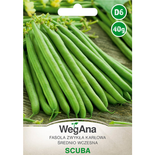 Fasola szparagowa karłowa Scuba nasiona 40g - WegAna
