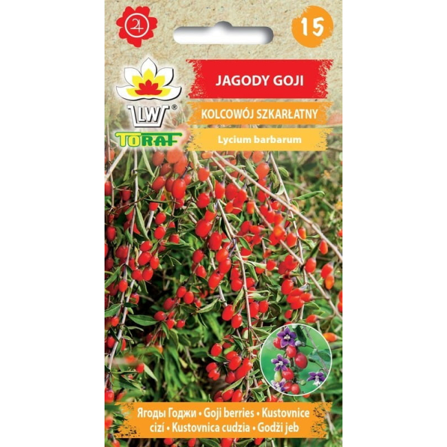 Jagody Goji nasiona 0,1g - TORAF