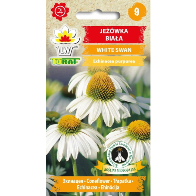 Jeżówka White Swan biała nasiona 0,2g - TORAF