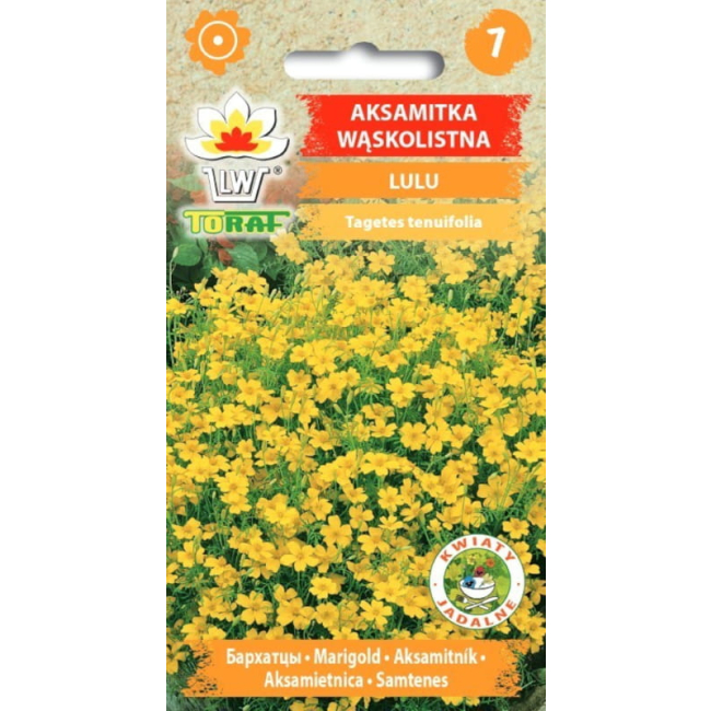 Aksamitka Wąskolistna Lulu nasiona 0,5g - TORAF