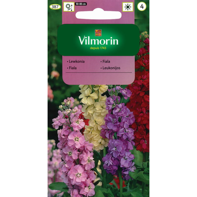 Lewkonia Excelsior mieszanka nasiona 0,5g - VILMORIN