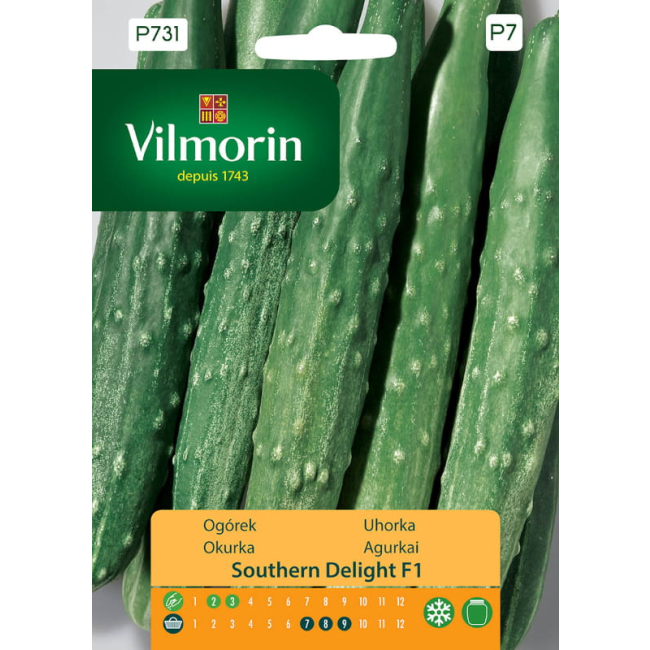 Ogórek Southern Delight F1 nasiona 1g - VILMORIN