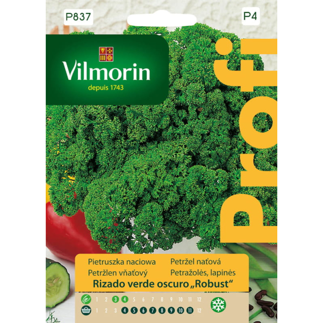 Pietruszka naciowa Rizado verde oscuro Robust nasiona 4g - VILMORIN