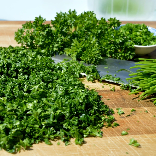 Pietruszka naciowa Rizado verde oscuro Robust nasiona 4g - VILMORIN