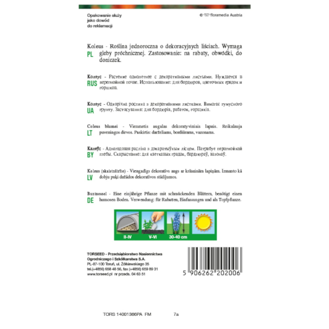 Koleus Pokrzywka MIX nasiona 0,1g - TORSEED