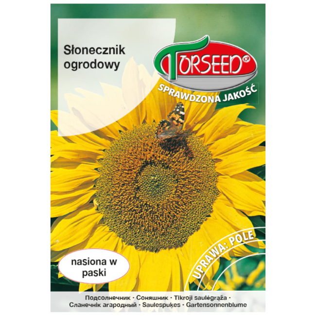 Słonecznik ogrodowy nasiona 10g - TORSEED