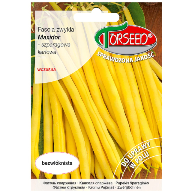 Fasola zwykła karłowa Maxidor nasiona 30g - TORSEED