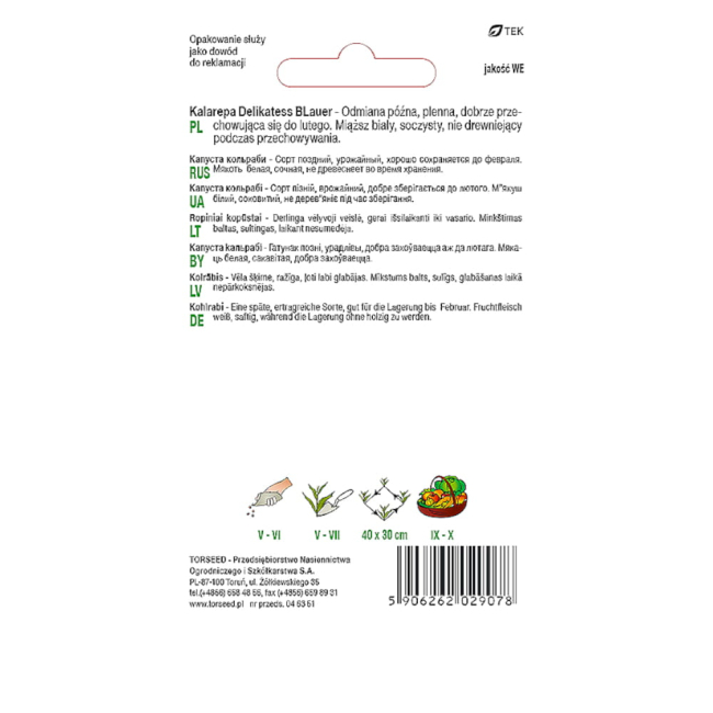 Kalarepa fioletowa Delikatess Blauer nasiona 2g - TORSEED