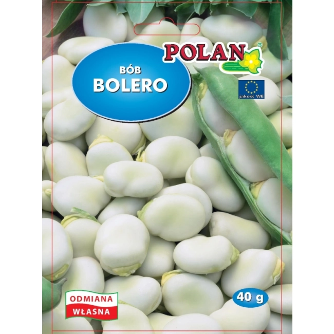 Bób Bolero nasiona 40g - POLAN