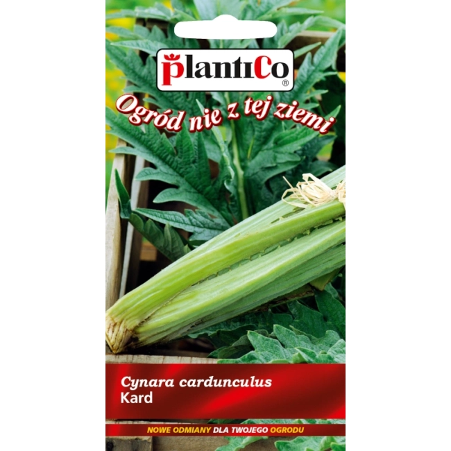 Kard Bianco Avorio nasiona 1g - Plantico