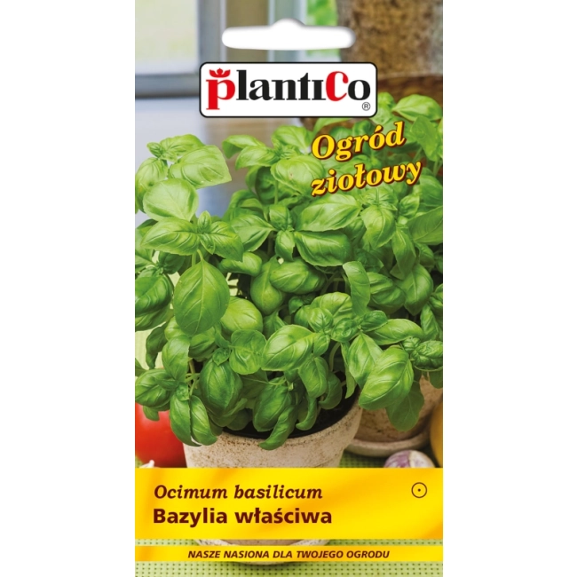 Bazylia właściwa nasiona 1g - Plantico