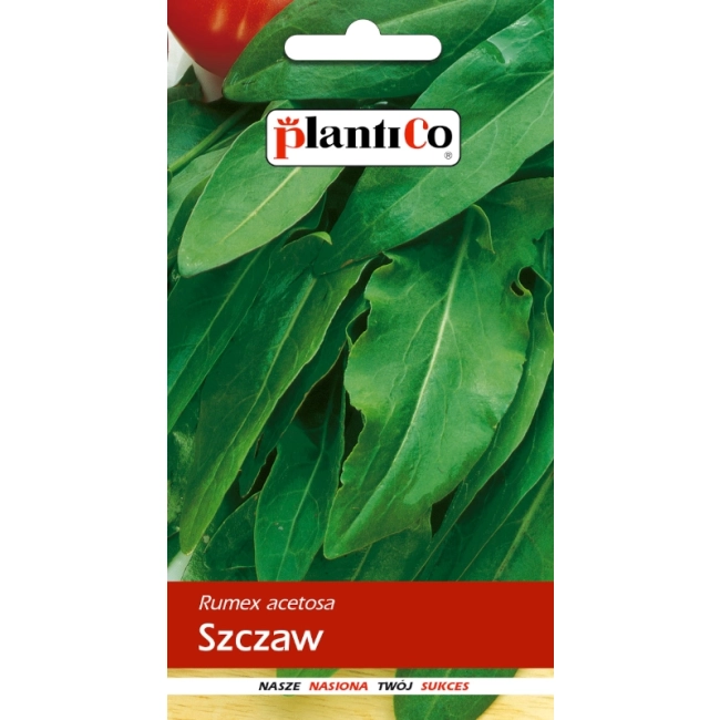 Szczaw lyoński nasiona 2g - Plantico