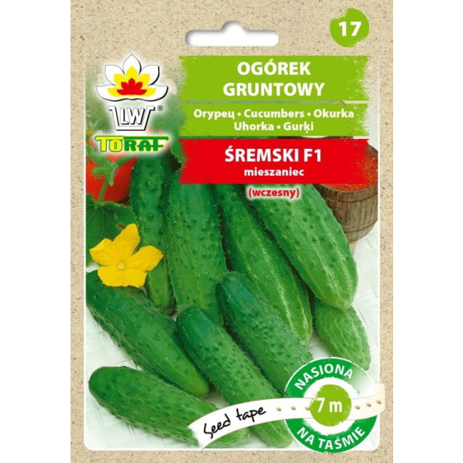 Ogórek Śremski F1 nasiona na taśmie 7m - TORAF