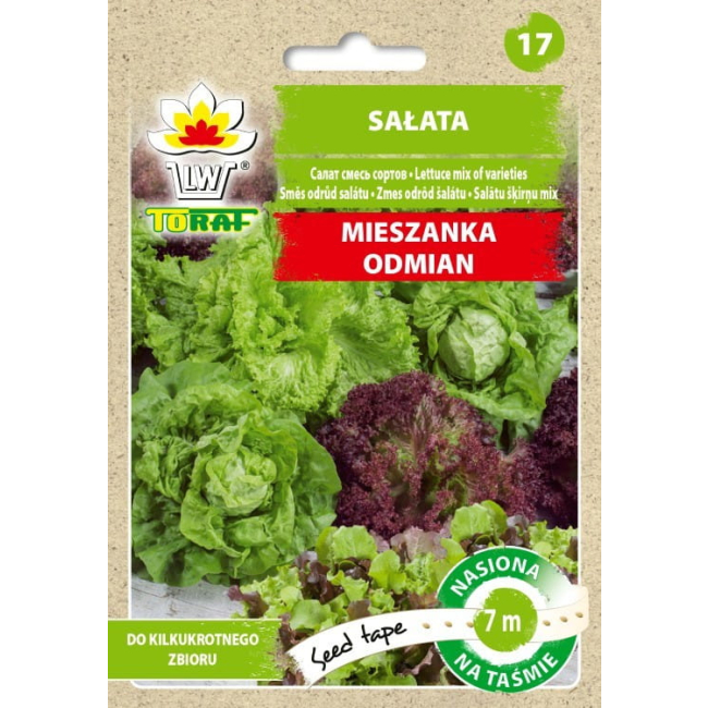 Sałata mieszanka odmian nasiona na taśmie 7m - TORAF