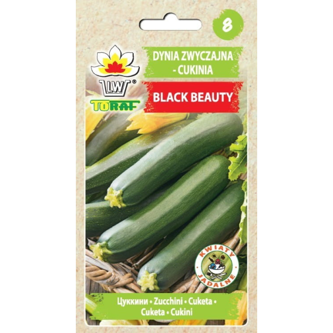 Cukinia Black Beauty nasiona 5g -TORAF
