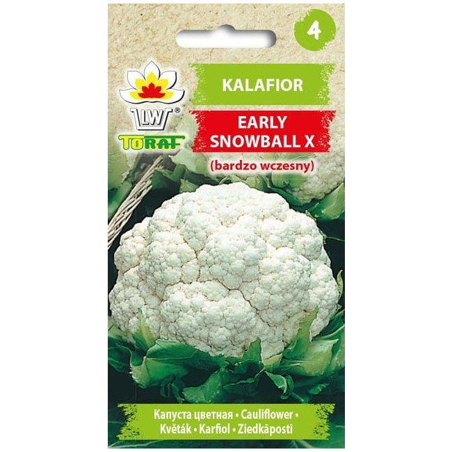 Kalafior Early Snowball X 1g - TORAF