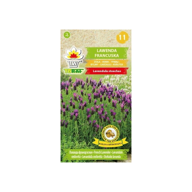 Lawenda francuska nasiona 0,1g - TORAF