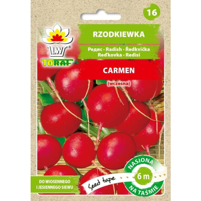 Rzodkiewka Carmen nasiona na taśmie 6m - TORAF