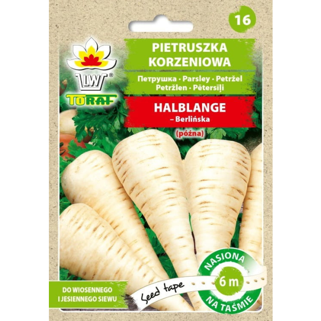 Pietruszka Halblange  nasiona na taśmie 6m - TORAF