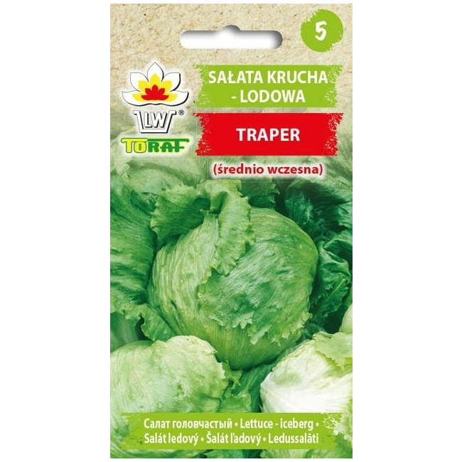 Sałata Traper Krucha Lodowa 1g - TORAF