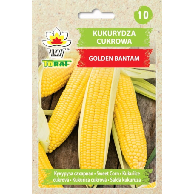 Kukurydza Golden Bantam 20g - TORAF