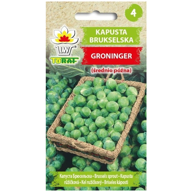 Kapusta brukselska Groninger 2g - TORAF
