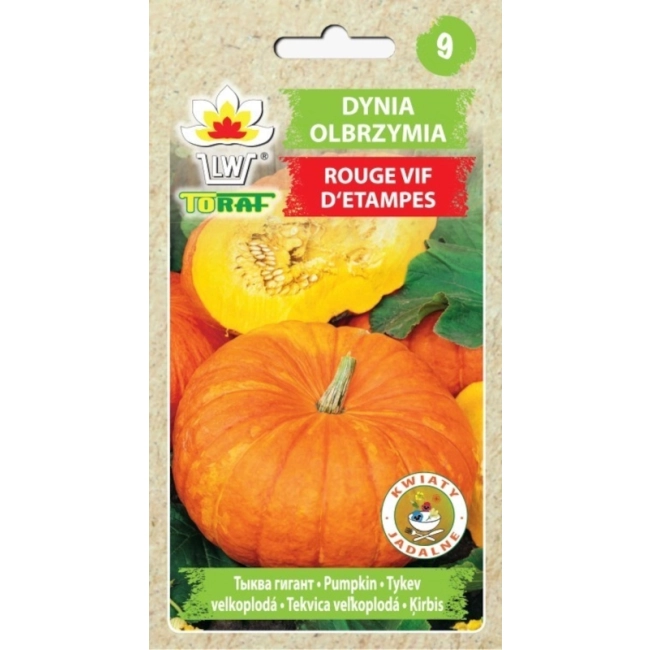Dynia olbrzymia Rouge Vif d`Etampes nasiona 5g - TORAF