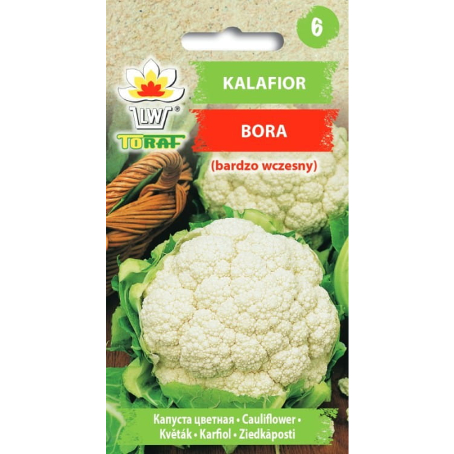 Kalafior Bora 1g - TORAF