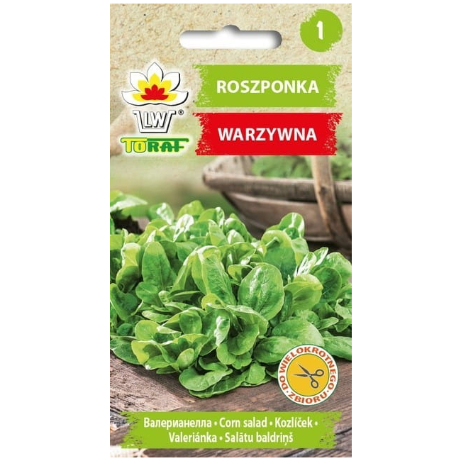 Roszponka nasiona 1g - TORAF