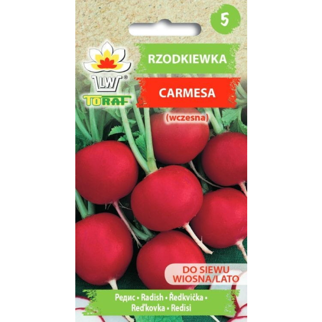 Rzodkiewka Carmesa nasiona 10g - TORAF
