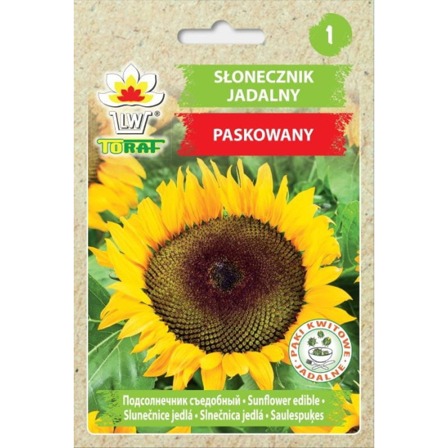 Słonecznik jadalny paskowany 10g - TORAF