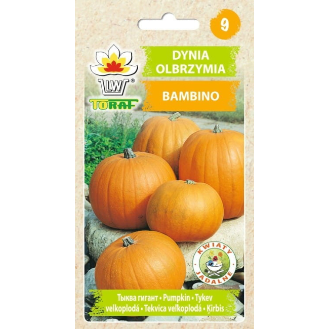 Dynia olbrzymia Bambino nasiona 5g -TORAF