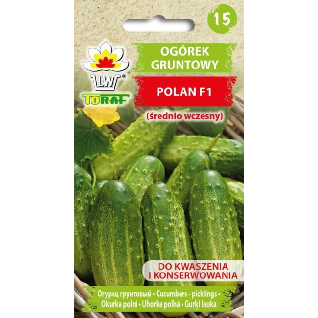 Ogórek Polan F1 nasiona 5g - TORAF