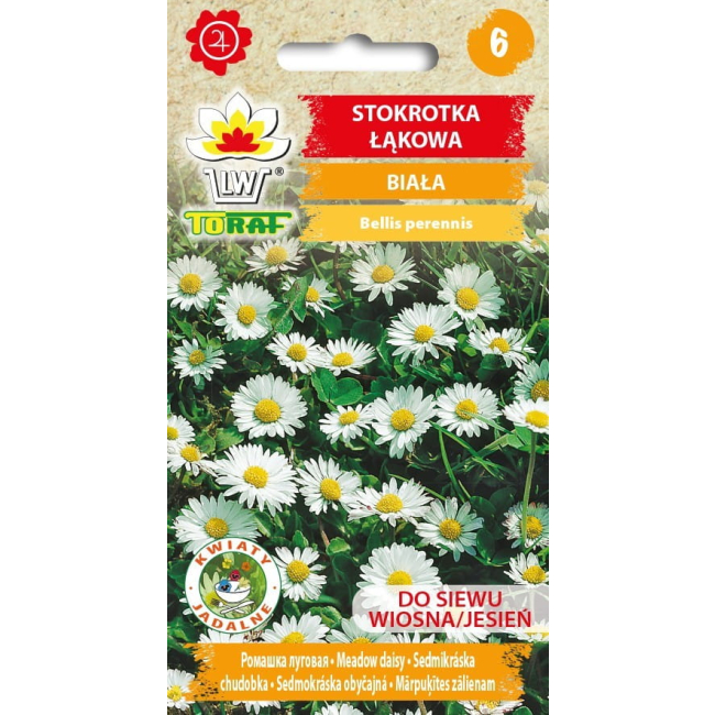 Stokrotka łąkowa biała nasiona 0,2g - TORAF