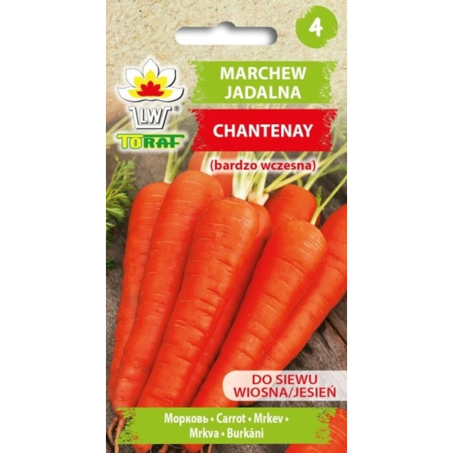 Marchew jadalna Chantenay nasiona 5g - TORAF