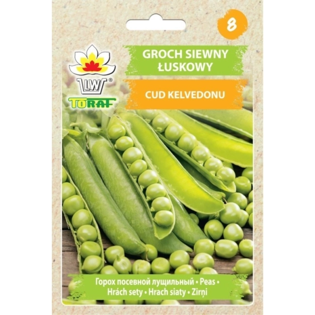 Groch siewny łuskowy Cud Kalvedonu nasiona 50g - TORAF