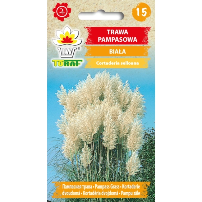 Trawa Pampasowa biała nasiona 0,1g - TORAF