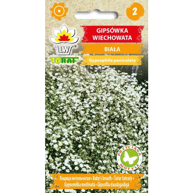 Gipsówka wiechowata biała nasiona 0,5g - TORAF