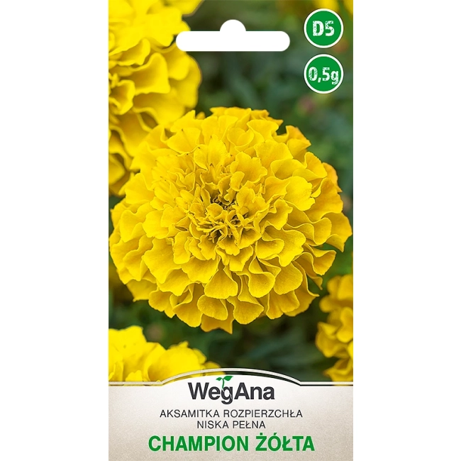 Aksamitka rozpierzchła niska pełna żółta Champion  0,5g - WegAna