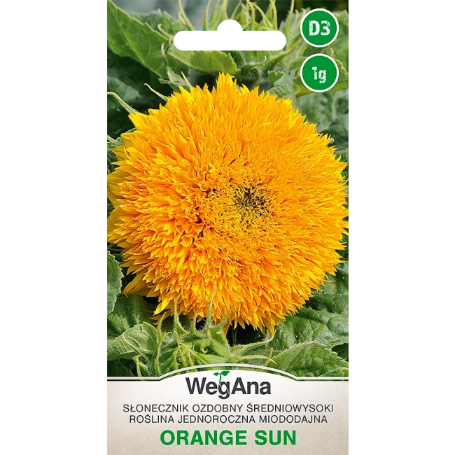 Słonecznik ozdobny średniowysoki pomarańczowy Orange Sun 1 g - WegAna