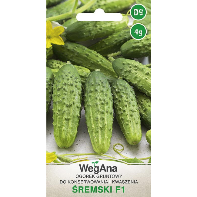 Ogórek gruntowy Śremski F1 4g - WegAna