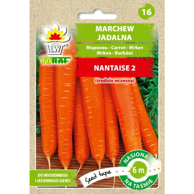 Marchew Nantese 2 nasiona na taśmie 6m - TORAF