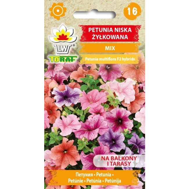Petunia żyłkowana niska mieszanka 0,1g - TORAF