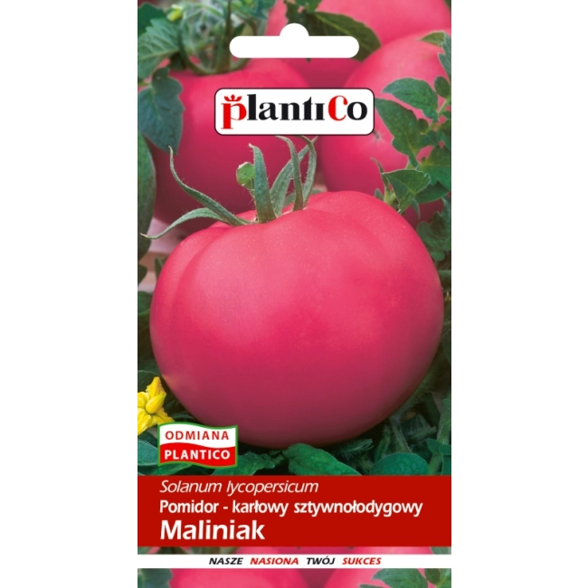 Pomidor karłowy Maliniak nasiona 0,5g - PlantiCo