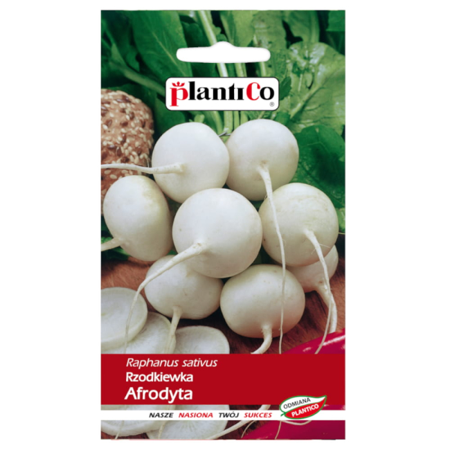 Rzodkiewka Afrodyta nasiona 5g - Plantico