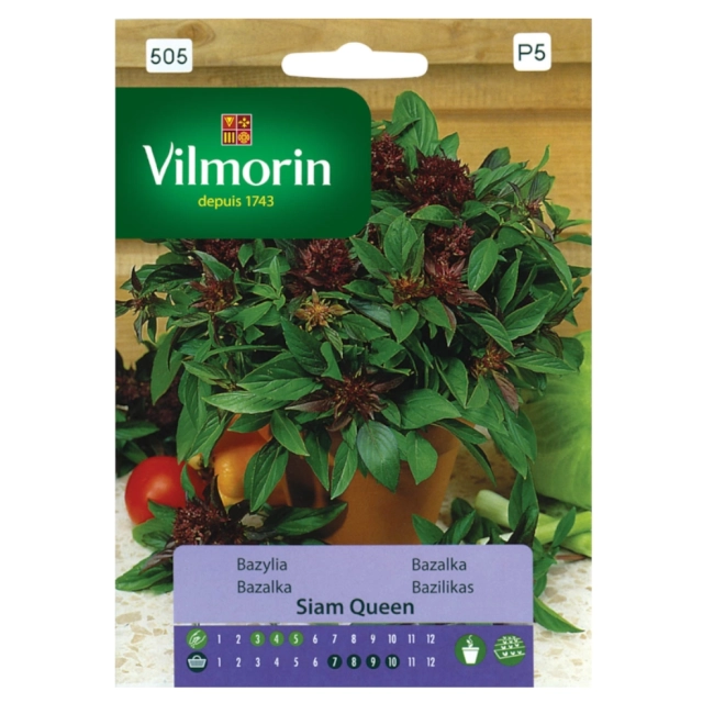 Bazylia Siam Queen 0,5g - VILMORIN