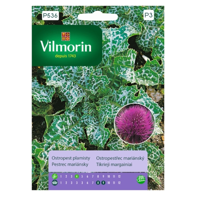 Ostropest Plamisty 2g - VILMORIN